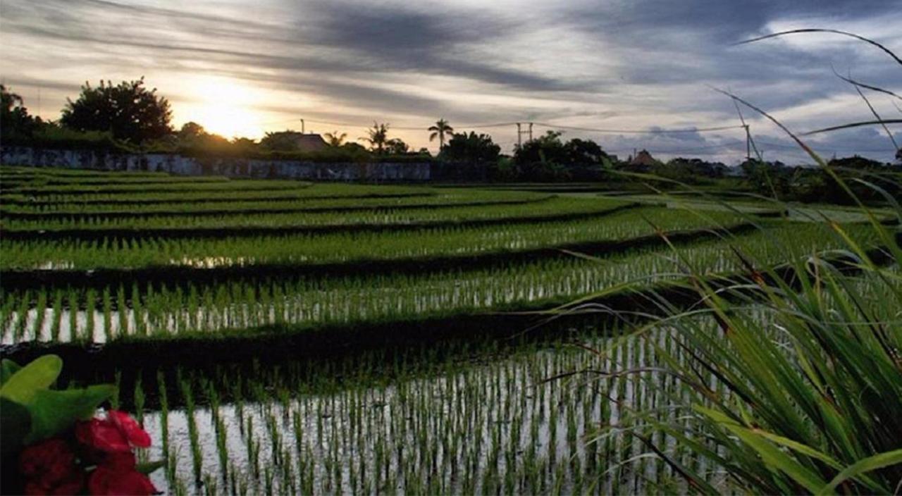 Ngeluwungan Boutique Hostel Canggu Kültér fotó