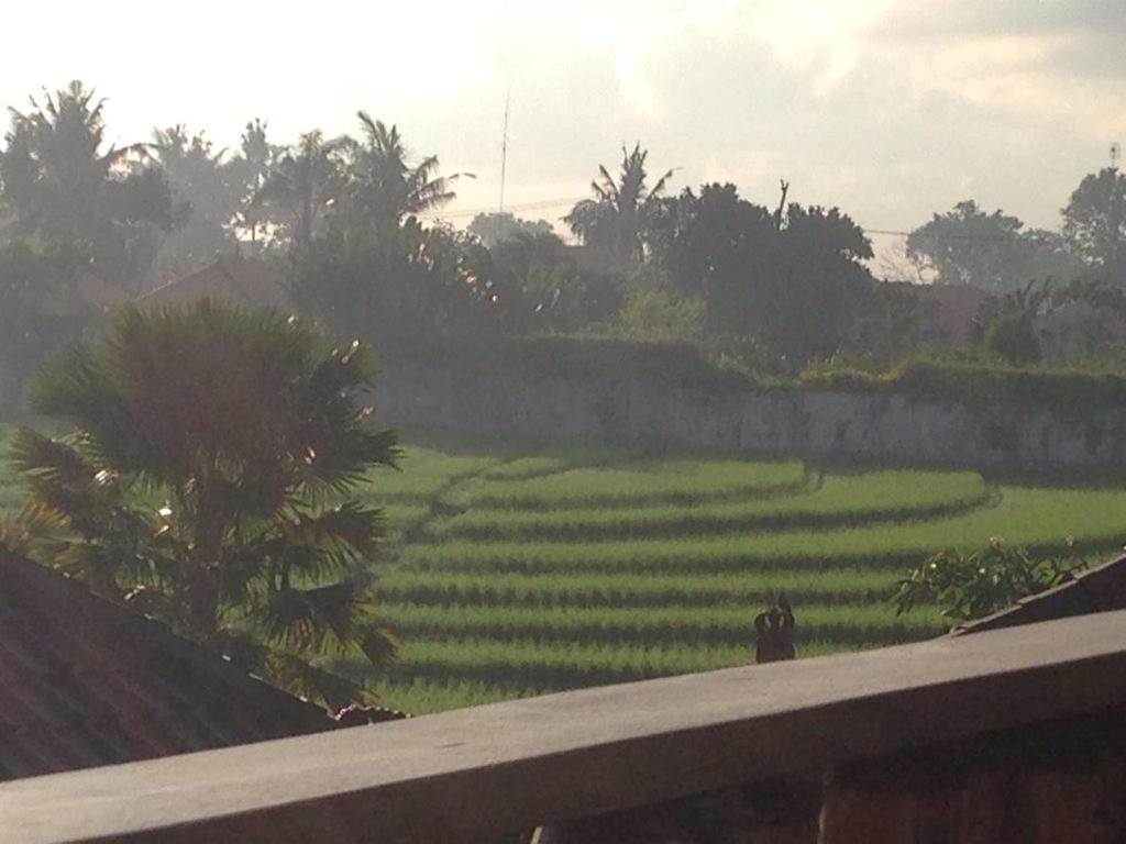 Ngeluwungan Boutique Hostel Canggu Kültér fotó