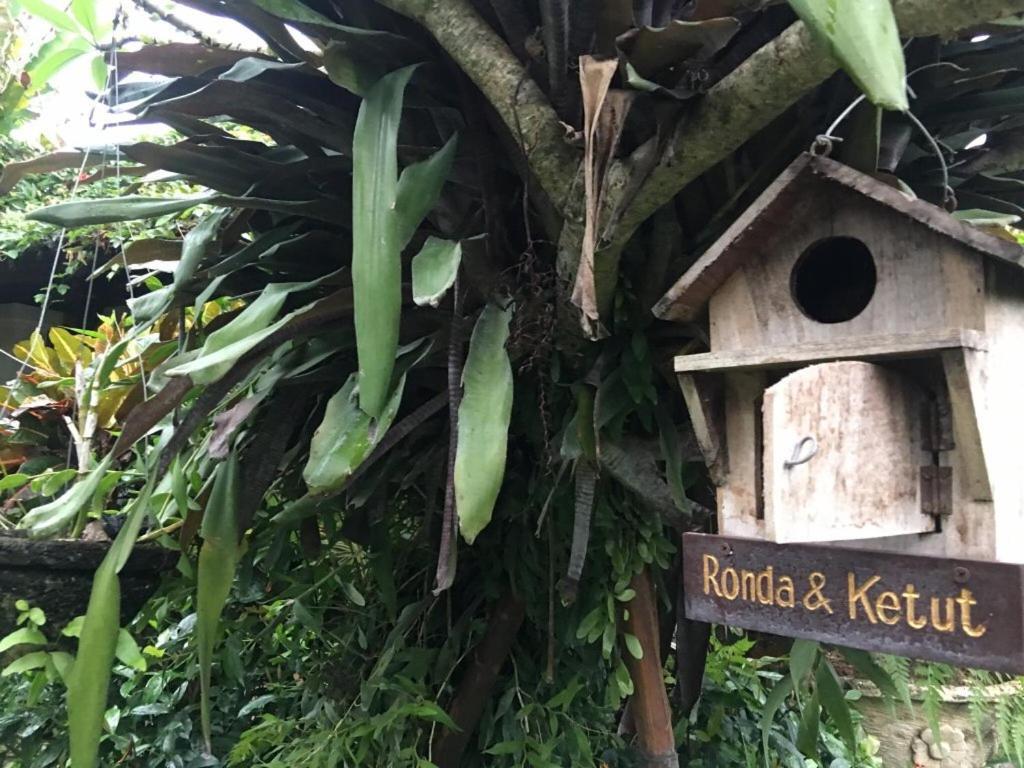 Ngeluwungan Boutique Hostel Canggu Kültér fotó